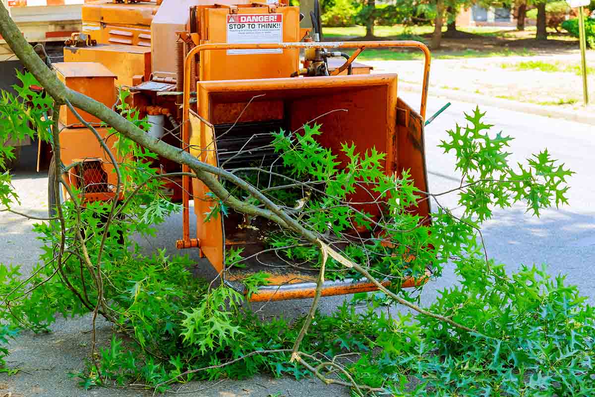 Landscapers using chipper machine to remove and haul chainsaw tree branches