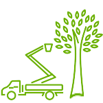 Cran services | Specialized Tree Service, Elma, NY & Erie County